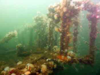 HMS Breda underwater