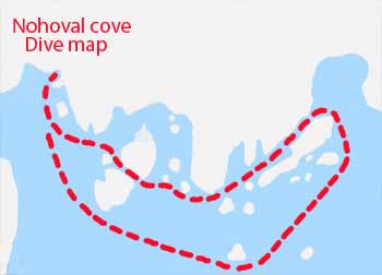 Nohoval cove dive map
